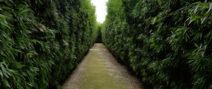 labyrinth-ricci