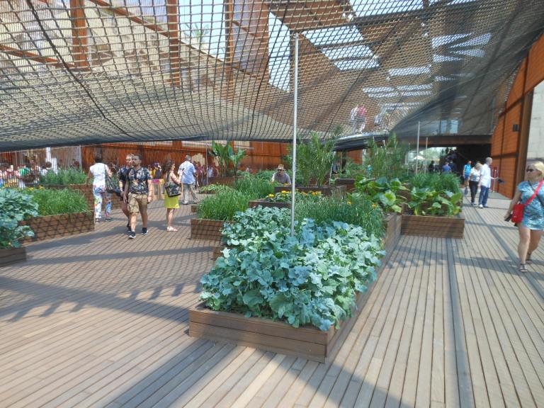 Im EG die Pflanzenwelt Brasiliens