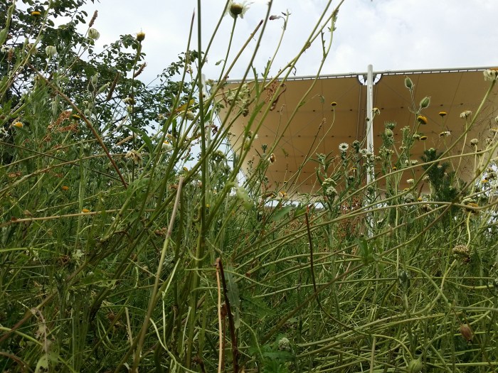 Aus der Sicht der Bienen