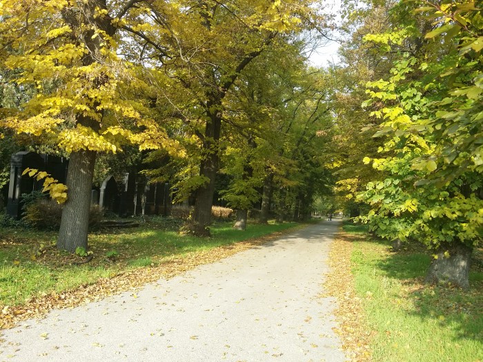 Schöne Spazierwege am Zentralfriedhof
