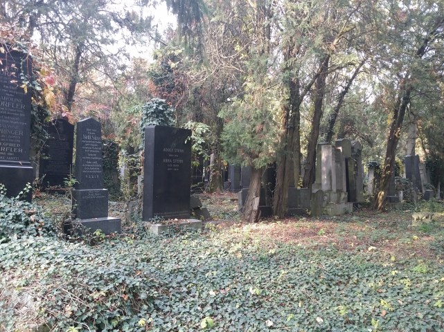 Zentralfriedhof (Alter jüdischer Friedhof)