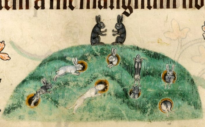 Viele Löcher, viele Hasen. Luttrell Psalter, England ca. 1325-1340 (British Library, Add 42130, fol. 176v)