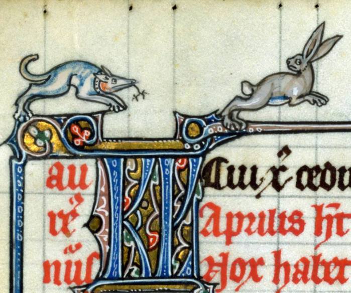 Auf dem Sprung. 'Fieschi Psalter', Cambrai ca. 1290-1295 (Baltimore, The Walters Art Museum, Walters Manuscript W.45, fol. 6v)