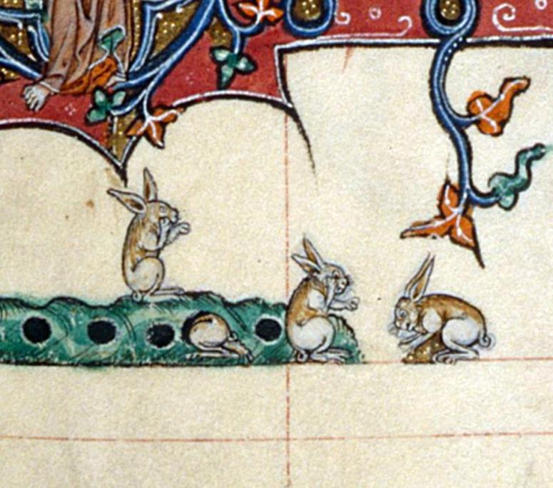 Hasen mit Handys? Gorleston Psalter, England 14th century (British Library, Add 49622, fol. 107v)